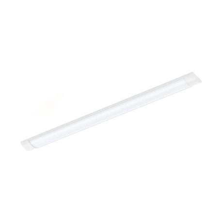 BETULA