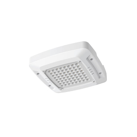 GAS LED