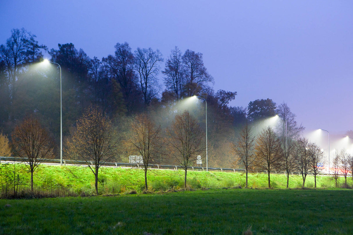 WISLA streetlight 15/30W 4000K 130lm/W, R05002, CRI80, IP66, Ø60, Klasse II, 4m kabel