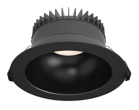 ALLIUM SORT/SORT Ø220